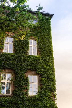 Wawel Kalesi, Krakow 'un merkezinde bulunan bir kale ikametgahıdır.