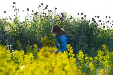 Çiçeklerin arasında, yaz tarlasında bir kız. Kot ceketli bir kız kır çiçekleri topluyor. Yaz yürüyüşü kavramı doğada