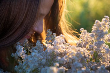 Güneş ışınlarında elinde bir buket kır çiçeği olan bir kız. Yakın plan. Altın saat. Güzellik kavramı