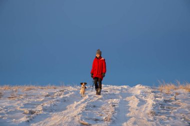 Kışın kırmızı ceketli, gri şapkalı, kışın kar yolunda, tarlada gezen bir kız. Köpekle yürüme konsepti