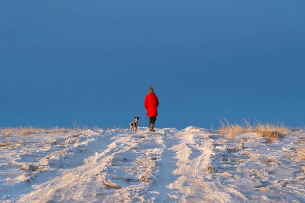 Kırmızı ceketli, tasmalı bir kız kışın karlı bir yolda yürüyor. Doğada köpekle yürüme kavramı..