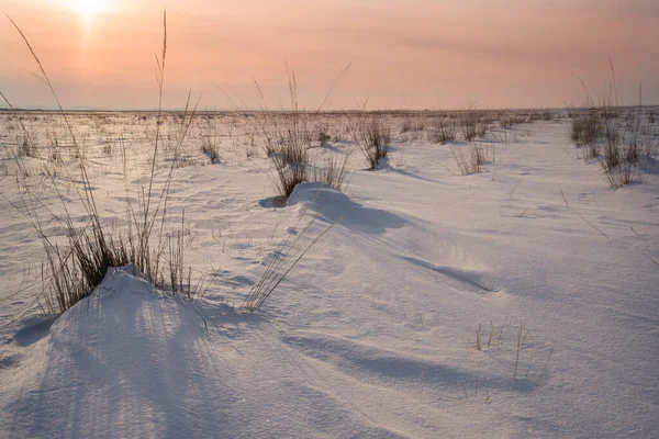 Uitzicht Een Besneeuwd Veld Winter Met Hoog Droog Gras Bij — Stockfoto