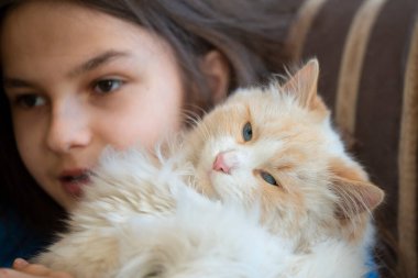 Beyaz tüylü kedisi olan bir kız. Yakın plan. Çocuklar ve evcil hayvanlar konsepti.