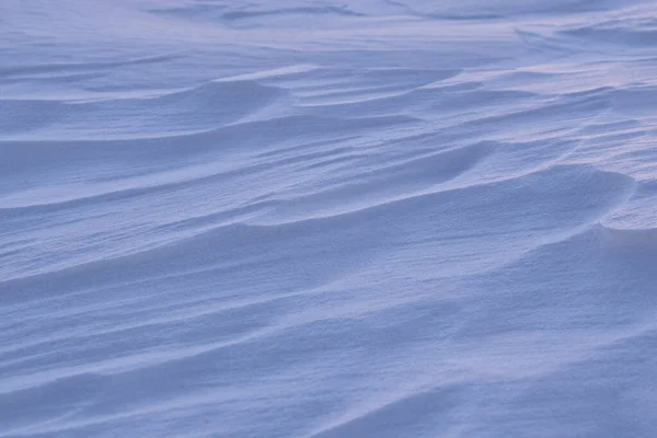 Campo Nevado Cerca Nieve Viento Fondo Nieve Concepto Naturaleza —  Fotos de Stock