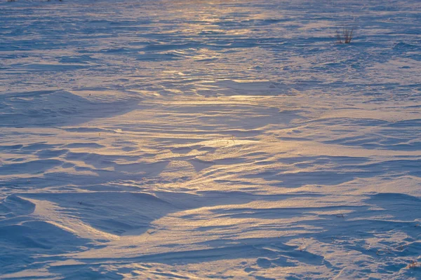 Utsikt Över Det Snöiga Fältet Vid Solnedgången Solen Reflekteras Snön — Stockfoto