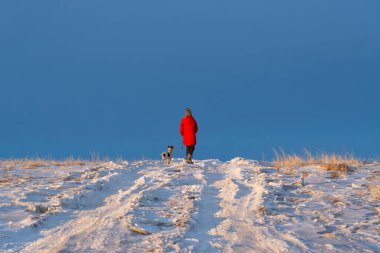 Kırmızı ceketli, tasmalı bir kız kışın karlı bir yolda yürüyor. Doğada köpekle yürüme kavramı..