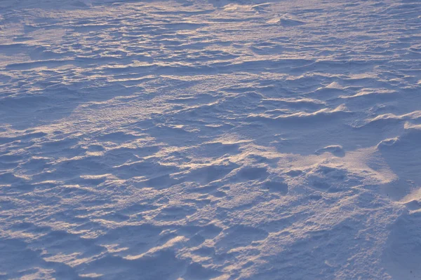 Gün Batımında Bir Kış Tarlasında Kar Dalgaları Mavi Doğal Arkaplan — Stok fotoğraf