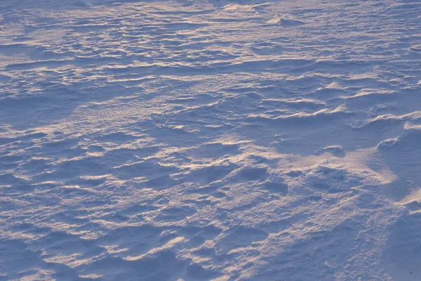 Las Olas Nieve Campo Invierno Atardecer Fondo Natural Azul —  Fotos de Stock