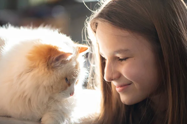 長い髪と白いふわふわの猫のクローズアップを持つ笑顔の女の子 ペットとの友情の概念 — ストック写真