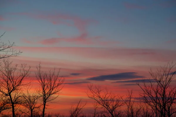 Silhuetas Árvores Nuas Contra Pôr Sol Vermelho Conceito Natureza — Fotografia de Stock