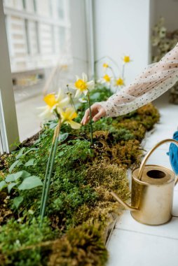 İlk bahar çiçekleri. Çocuk bahçesinde. Çocuklar bitkilerle ilgilenir. Paskalya yumurtası avı. Çiçekli ev dekorasyonu.