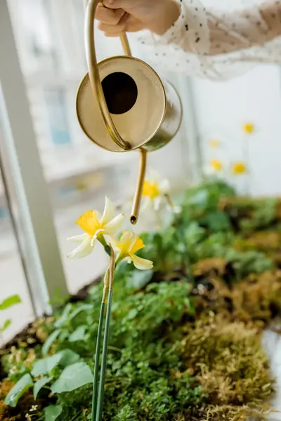 Jardinagem Infantil Crianças Cuidam Das Plantas Primeiras Flores Primavera Caça — Fotografia de Stock