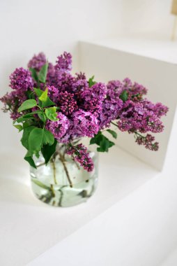 Vazoda leylak çiçekleri