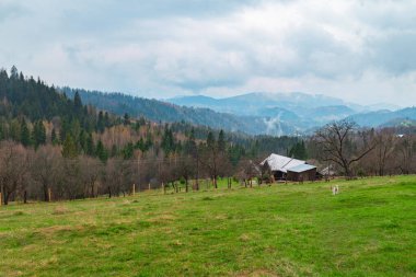 Açık hava eğlencesi. Yeşil dağ manzarası, ağaçlar ve ahşap bir ev. Karpatlar Ukrayna.