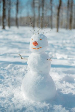 Parktaki komik kardan adam. Kışın çocuklu aileyle açık hava eğlencesi..