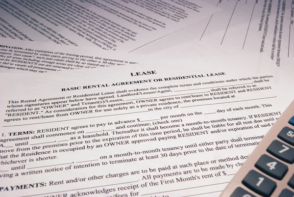 Basic Lease Form — Stock Photo, Image