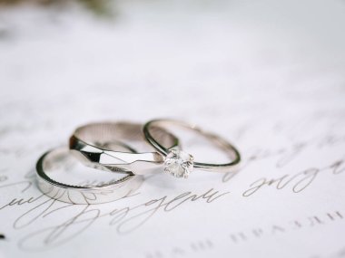 wedding silver engagement rings with fingerprint engraving inside. Lying on paper with calligraphy. nearby eucalyptus leaves