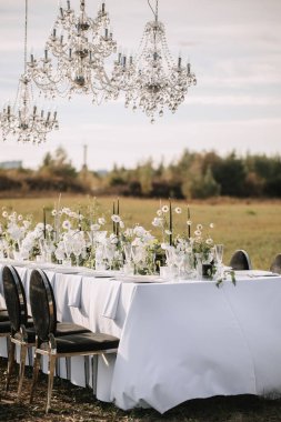 The delicate decor of the wedding banquet table is in pastel colors. Wildflowers, crystal glassware, candles. crystal chandelier on top, illuminating the table.