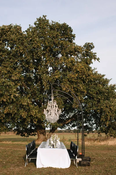 The delicate decor of the wedding banquet table is in pastel colors. Wildflowers, crystal glassware, candles. Against the background of a large tree, a crystal chandelier on top, illuminating the table.