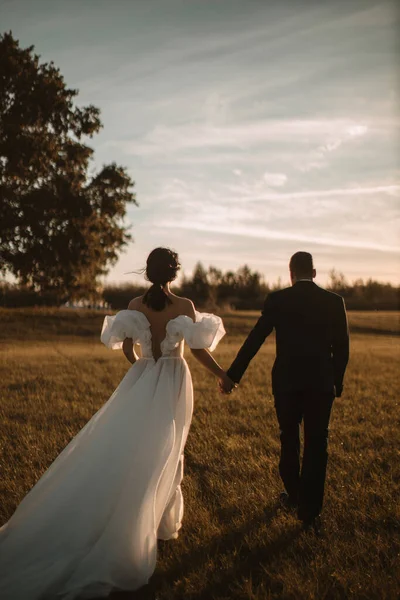 Bride Groom Walk Holding Hands Rays Setting Sun View Back — Foto Stock
