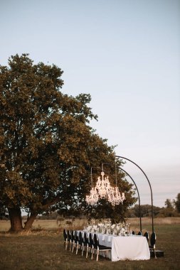 The delicate decor of the wedding banquet table is in pastel colors. Wildflowers, crystal glassware, candles. Against the background of a large tree, a crystal chandelier on top, illuminating the table.