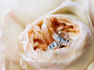 The wedding rings of the bride and groom in white gold with precious stones lie in a creamy peony rosebud.