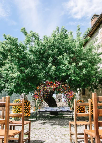 Wrought iron arch in an Italian garden with a bench and white cushions. The arch is entwined with bright multi-colored flowers, in the background, there is a large tree, and tangerine trees on the sides.