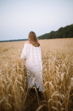 Beyaz elbiseli sarışın bir kız buğday tarlasında koşuyor..
