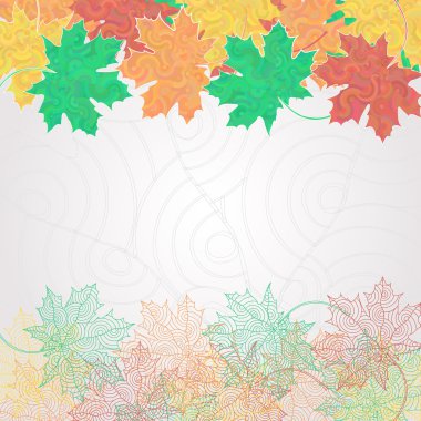 Maple leaf siluet arka plan