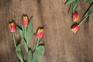 Ahşap zemin üzerinde laleler ve metin için yer var. Üst görünüm.