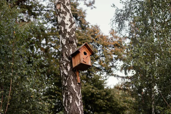 Uma Casa Pássaros Artesanal Vazia Numa Árvore Parque Pássaros Voaram — Fotografia de Stock