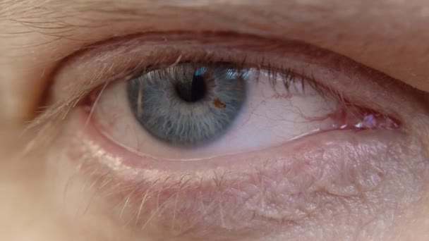 Human Eye Iris Opening Pupil Close Slow Motion Blue Eye — Vídeo de stock