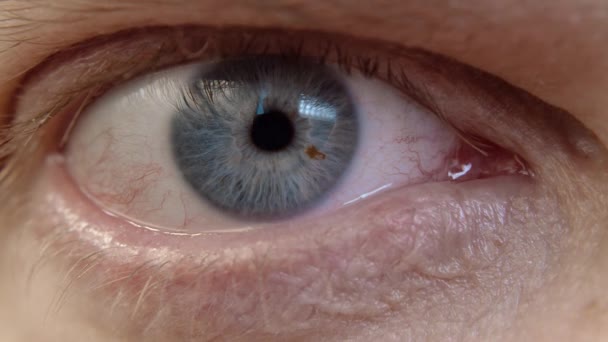 Human Eye Iris Opening Pupil Close Slow Motion Blue Eye — Vídeo de Stock