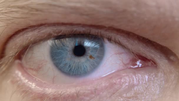 Human Eye Iris Opening Pupil Close Slow Motion Blue Eye — Video Stock