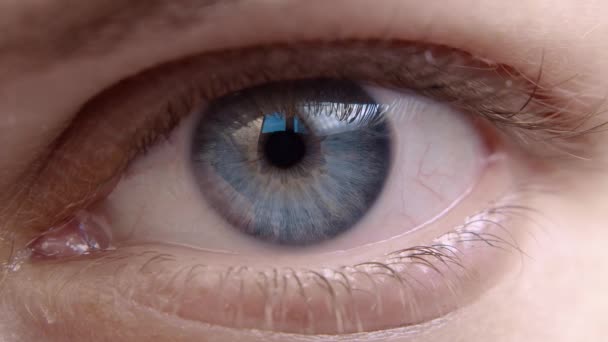 Human Eye Iris Opening Pupil Close Slow Motion Blue Eye — ストック動画