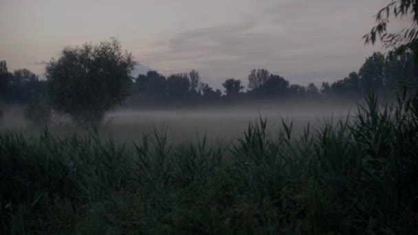 Tåge Morgen Flodsletten Engen Nær Landsby Landet Dårlig Sigtbarhed Grund – Stock-video