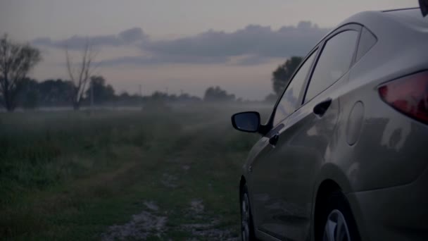 Voiture Près Champ Matin Brouillard Sur Plaine Inondable Prairie Près — Video