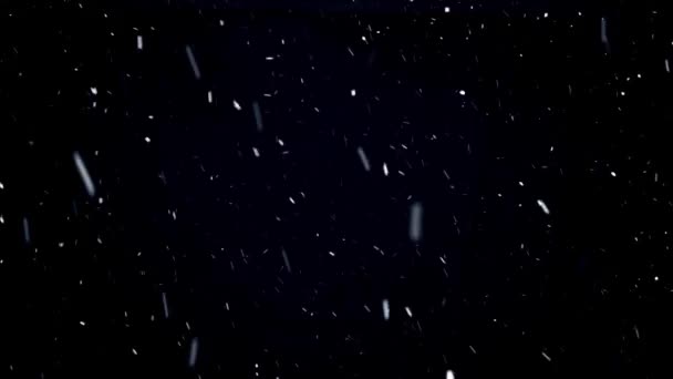 落雪的黑暗背景 黑色背景上真正的雪 动画雪效 影像雪粒背景 — 图库视频影像