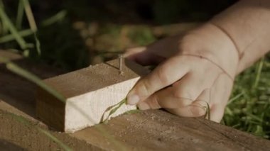 Çekiç kullanarak çivi çakan marangoz eli. Erkek el çivi çakar..