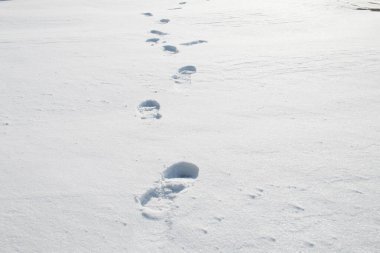 Karda ayak izlerinin yakınlaşması