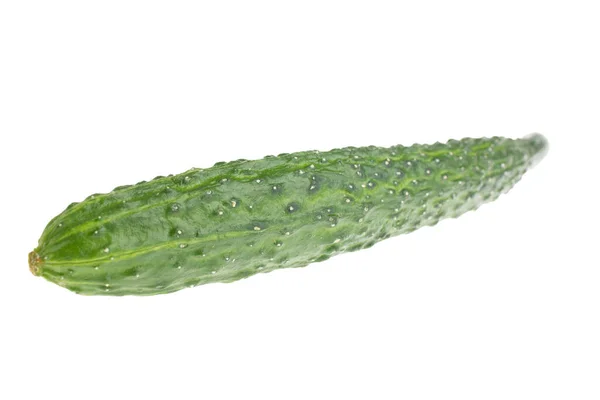 Cucumbers Isolated White Background — Stock Photo, Image