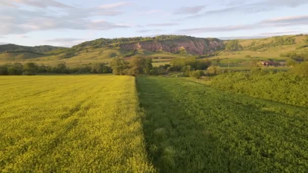 Beautiful Landscape Footage Shot Drone Low Altitude While Flying Forward — Vídeos de Stock