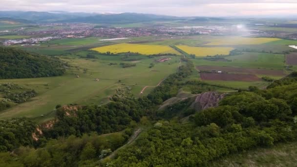 Aerial Video Countryside Area Farm Rape Fields Background Footage Shot — стоковое видео