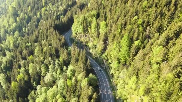 Aerial Footage Winding Road Mountains Shot Drone Higher Altitude Video — Vídeos de Stock