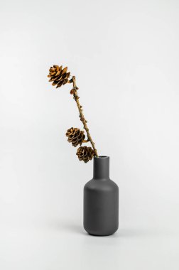 Doğal malzemelerden dekoratif iç unsurlar. Beyaz arka planda kil vazoda kuru bir tarla kuşu filizi. Kavram: minimalizm, ekoloji, modern tarz