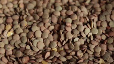 Yeşil mercimek taneleri tabağa düşer. Kapatın. Vejetaryen sağlıklı organik gıda diyeti. Çiğ yeşil mercimek taneleri.