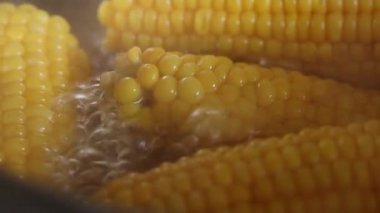 Mısır pişiriyorum. Tatlı mısır kaynar suda bir tencerede pişirilir. Sağlıklı yemek pişirmek..