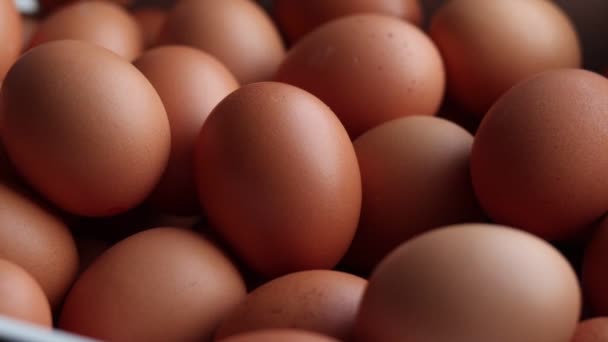 Mano Del Hombre Toma Uno Los Huevos Marrones Caja — Vídeos de Stock