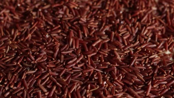 Kuru Pişmemiş Yabani Pirinç Tepeden Tırnağa Dökülür Kırmızı Taneler Düşer — Stok video