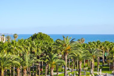 Side, Turkey - 14 Mayıs 2021: Miramare Beach Hotel 'in güzel toprakları. Dinlenme alanında yüzme havuzu. Mavi berrak su, güneş yatakları ve etrafında palmiye ağaçları.